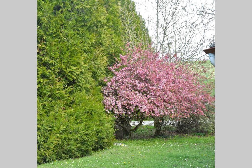 Domaine Des Montots Vila Tanlay Exterior foto